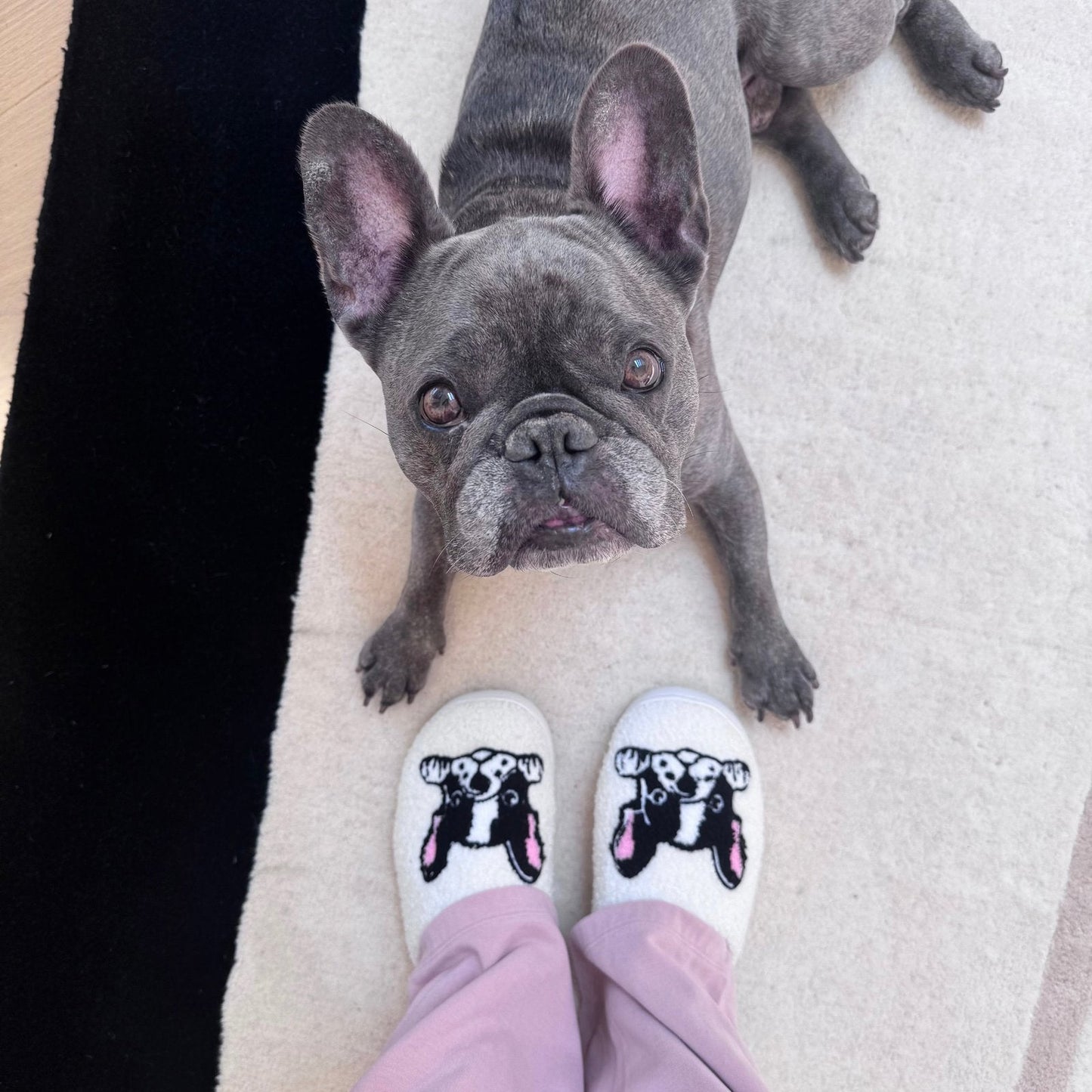 Hausschuhe Damen - Französische Bulldogge Plüsch Weich-HauteBerlin