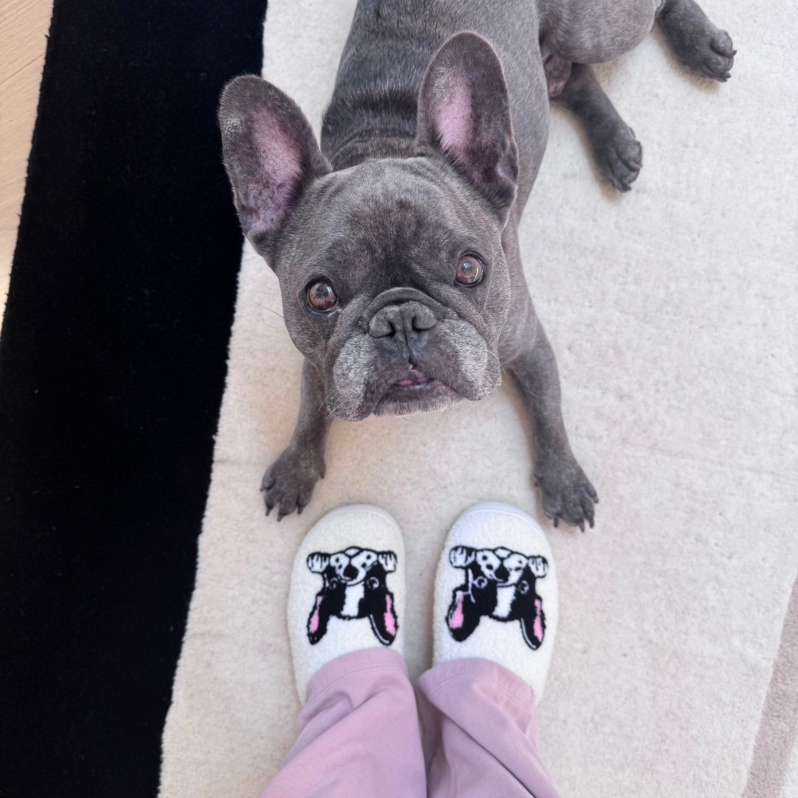 Hausschuhe Damen - Französische Bulldogge Plüsch Weich-HauteBerlin