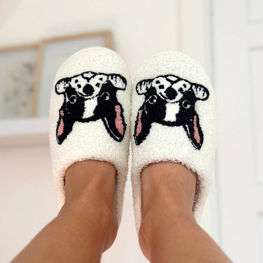 Hausschuhe Damen - Französische Bulldogge Plüsch Weich-HauteBerlin