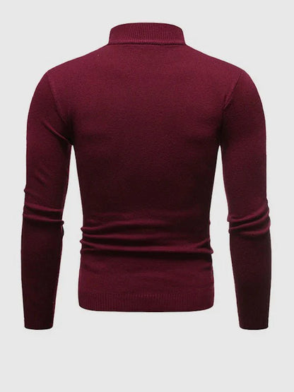 Rollkragenpullover | Slim Fit | Rollkragen | High Neck Pullover | Herrenbekleidung-HauteBerlin